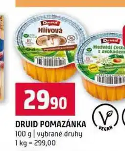 Terno DRUID POMAZÁNKA 100 g vybrané druhy nabídka