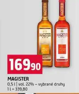 Terno MAGISTER 0,5l vol. 22% vybrané druhy nabídka