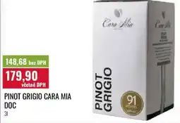Ratio Pinot grigio cara mia doc nabídka