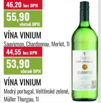 Ratio Vína vinium nabídka