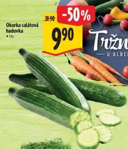 Albert Okurka salátová hadovka nabídka