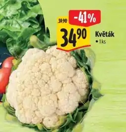 Albert Květák nabídka