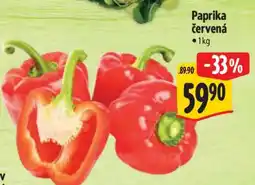 Albert Paprika červená nabídka