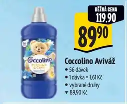 Albert Coccolino aviváž nabídka