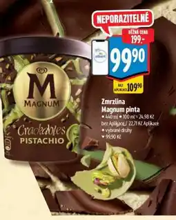 Albert Zmrzlina Magnum Pinta nabídka