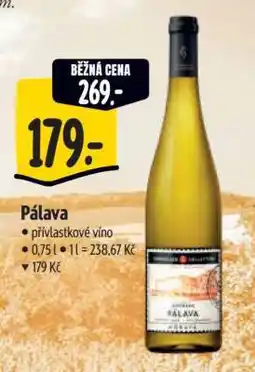 Albert Pálava nabídka