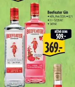 Albert Beefeater Gin nabídka