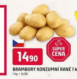 Trefa BRAMBORY KONZUMNÍ RANÉ nabídka
