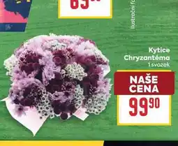 Billa Kytice Chryzantéma 1 svazek nabídka