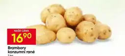 Hruška Brambory konzumní rané nabídka
