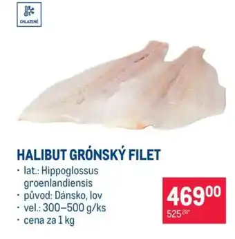 Makro Halibut grónský filet nabídka