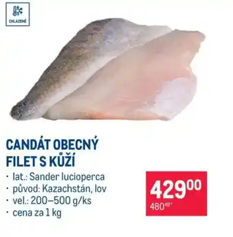 Makro Candát obecný filet s kůží nabídka