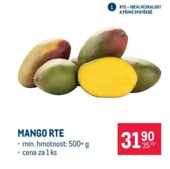 Makro Mango RTE nabídka