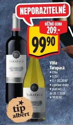 Albert Viña Tarapacá nabídka