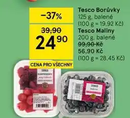 Tesco Tesco Borůvky nabídka