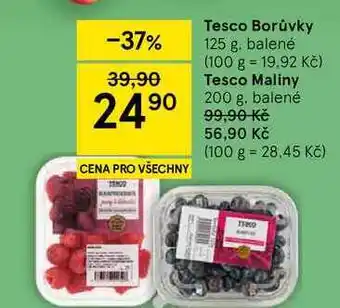 Tesco Tesco Borůvky nabídka