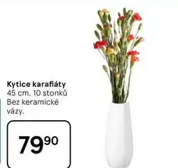 Tesco Kytice karafiáty, 45 cm, 10 stonků nabídka