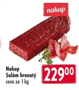 Qanto Nakup Salam hranatý nabídka