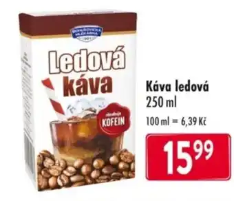 Qanto Káva ledová nabídka