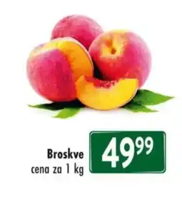 Qanto Broskve nabídka