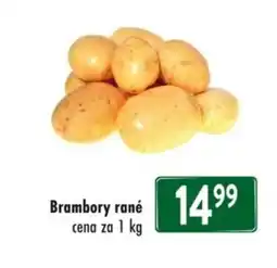 Qanto Brambory rané nabídka