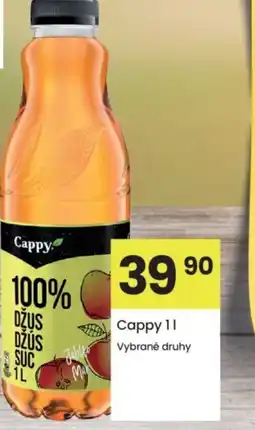 Kubík potraviny Cappy nabídka