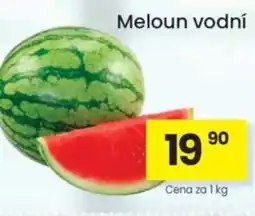 Kubík potraviny Meloun vodní nabídka
