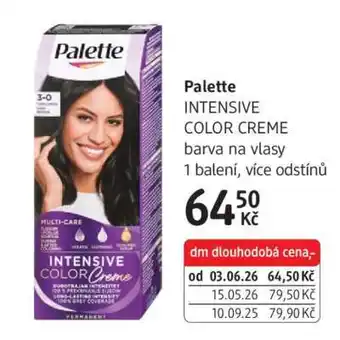 dm drogerie Palette nabídka