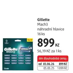 dm drogerie GILLETTE nabídka