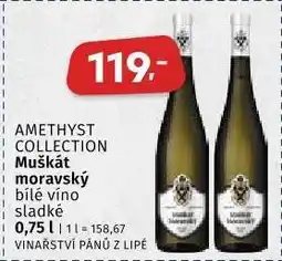 Coop AMETHYST COLLECTION Muškát moravský nabídka