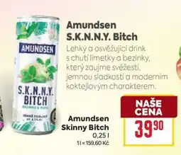 Billa Amundsen S.K.N.N.Y. Bitch nabídka
