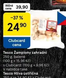 Tesco Tesco Žampiony zahradní nabídka