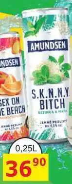 BENE Nápoje AMUNDSEN S.K.N.N.Y. BITCH 0,25L míchaný nápoj plech nabídka
