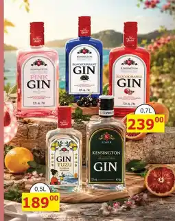 BENE Nápoje KENSINGTON PINK GIN nabídka