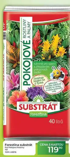 Tamda Foods Forestina substrát Pro Pokojové Rostliny nabídka