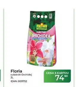 Tamda Foods Floria substrát Orchidej nabídka