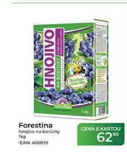 Tamda Foods Forestina hnojivo na borůvky nabídka