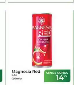 Tamda Foods Magnesia Red 0,331 nabídka