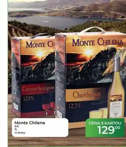 Tamda Foods Monte Chilena nabídka