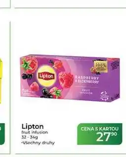 Tamda Foods Lipton fruit infusion nabídka