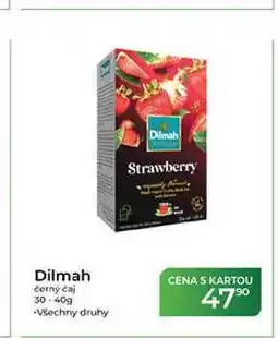 Tamda Foods Dilmah černý čaj nabídka