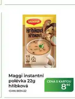 Tamda Foods Maggi instantní polévka 22g hříbková nabídka
