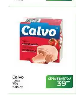 Tamda Foods Calvo Tuňák nabídka