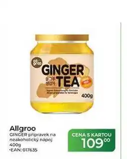 Tamda Foods Allgroo GINGER přípravek na nealkoholický nápoj nabídka
