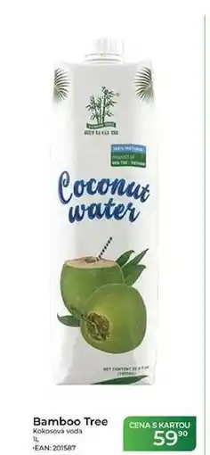 Tamda Foods Bamboo Tree Kokosová voda nabídka