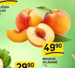 Flop BROSKVE SKLÁDANÉ nabídka