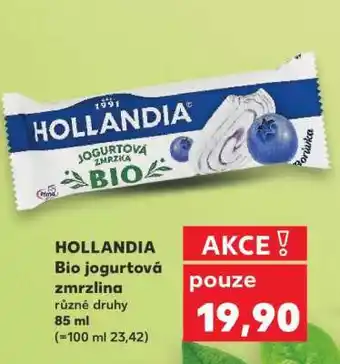 Kaufland HOLLANDIA BIO Jogurtová zmrzlina nabídka