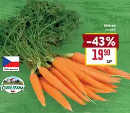 Billa Mrkev svazek nabídka