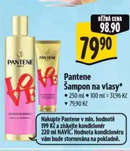Albert Pantene Šampon na vlasy nabídka