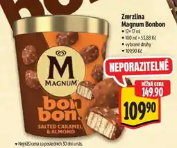 Albert Zmrzlina Magnum Bonbon nabídka